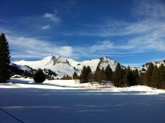 Terrasses Du Mont Blanc Le Praz de Lys Exterior foto