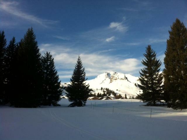 Terrasses Du Mont Blanc Le Praz de Lys Exterior foto